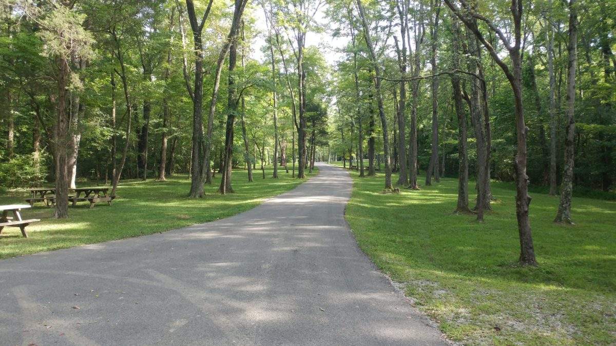 Youth camping sites at Lincoln State Park