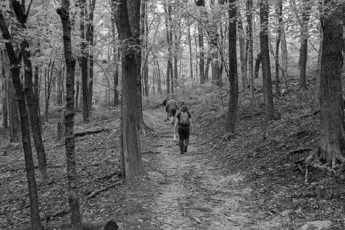 Day Hike at Pere Marquette - Troop 86