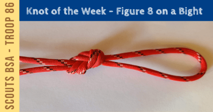 Knot - Figure 8 on a Bight