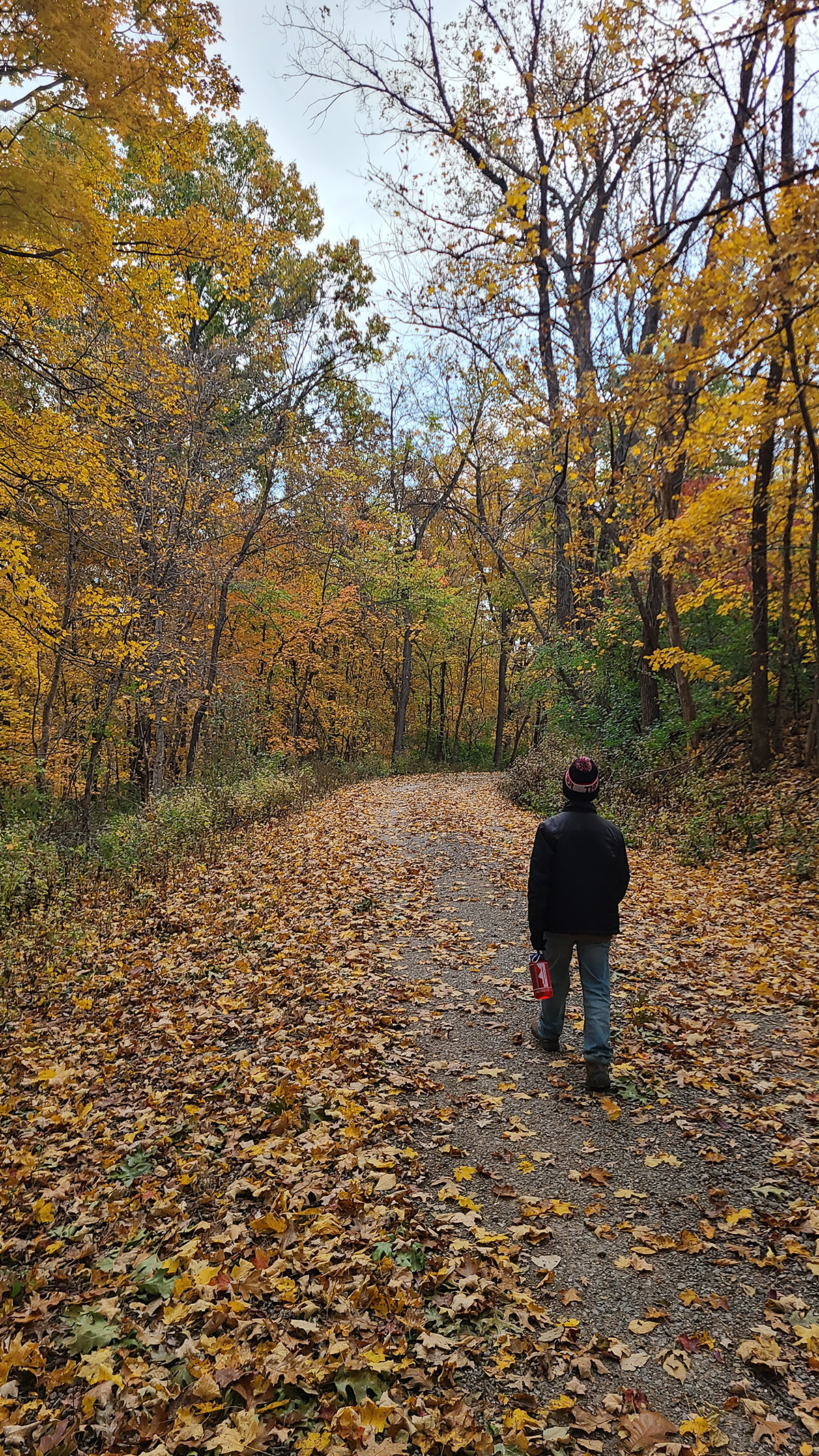 Troop 86 - Pere Marquette Campout